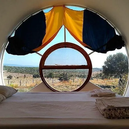 Vadi