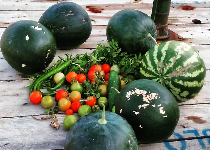 Vadi Hotel Alaçatı