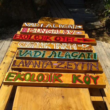 Vadi Алачати