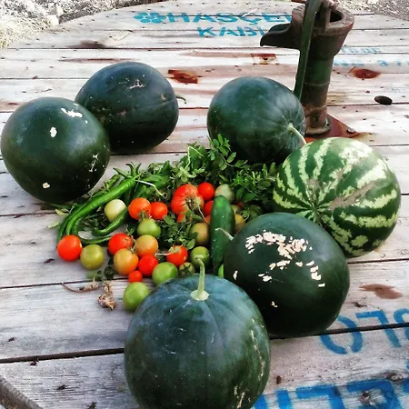 Vadi ホテル アラカティ