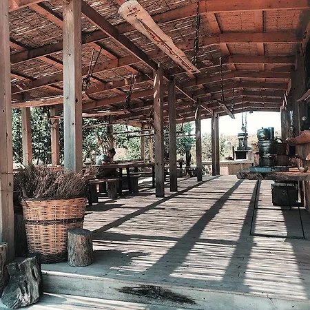 Vadi ホテル アラカティ