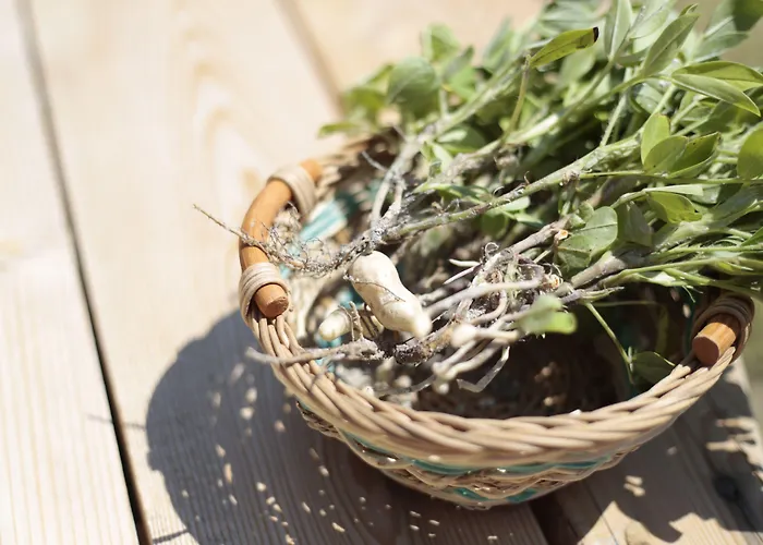 Hotel Vadi Alaçatı